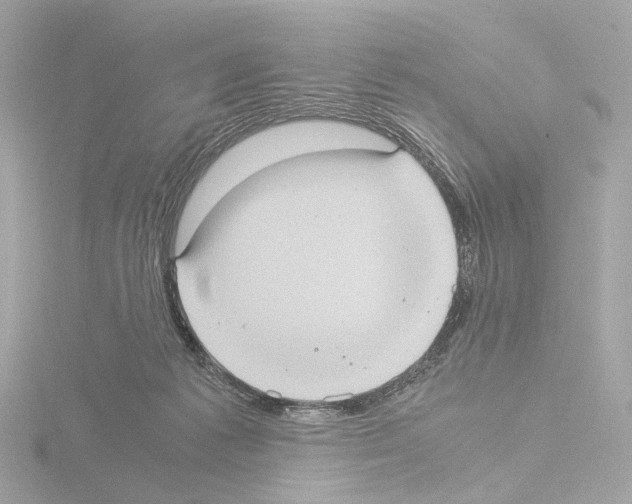 X0000115580221200912221055