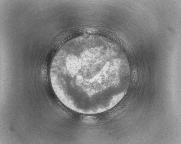 X0000115580222200912221055