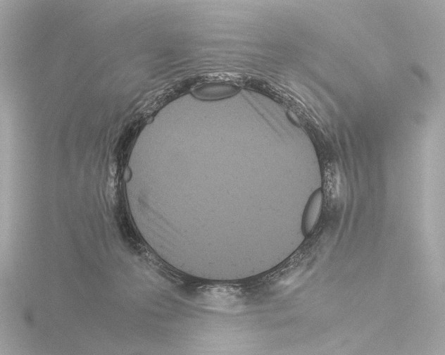 X0000115580223200912221055