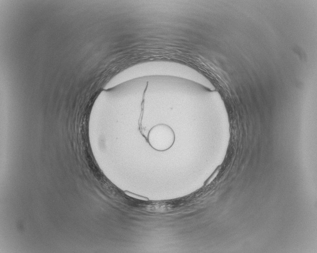 X0000115580225200912221055