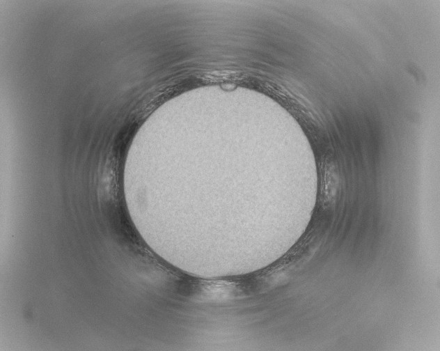 X0000115580226200912221055