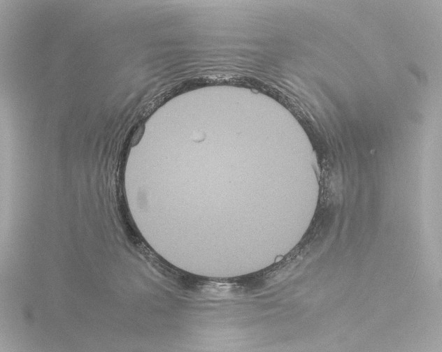 X0000115580227200912221055