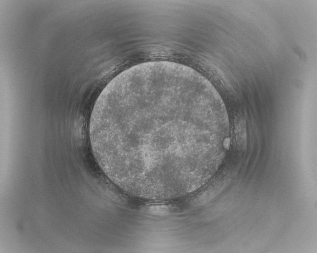 X0000115580228200912221055