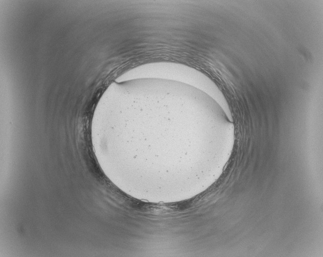 X0000115580229200912221055