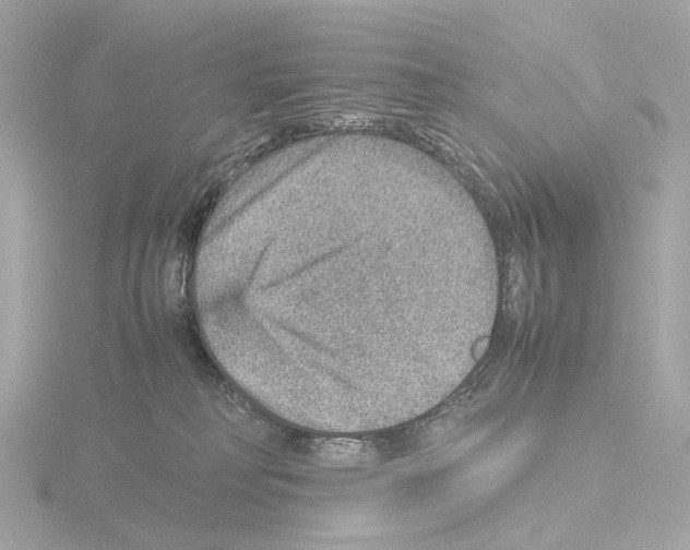 X0000115580230200912221055