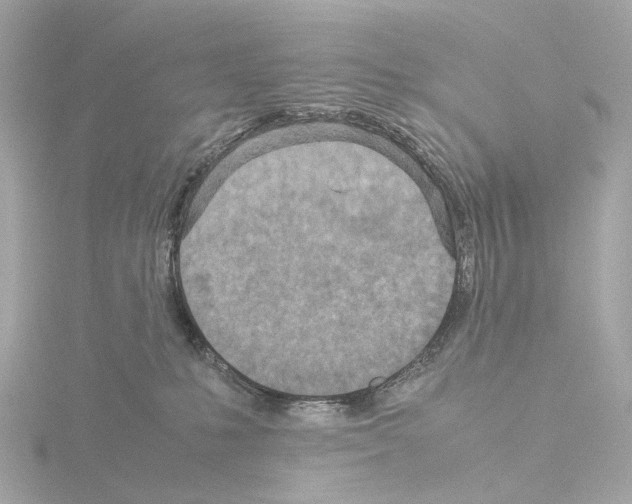 X0000115580231200912221055