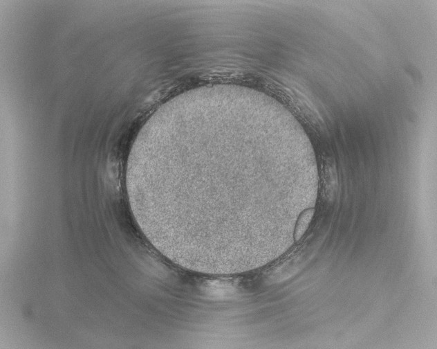 X0000115580232200912221055