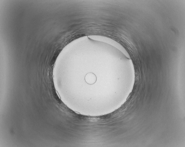 X0000115580233200912221055