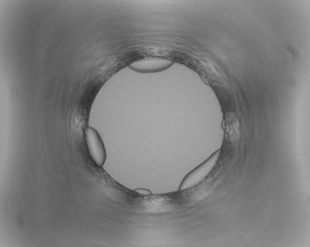 X0000115580235200912221055