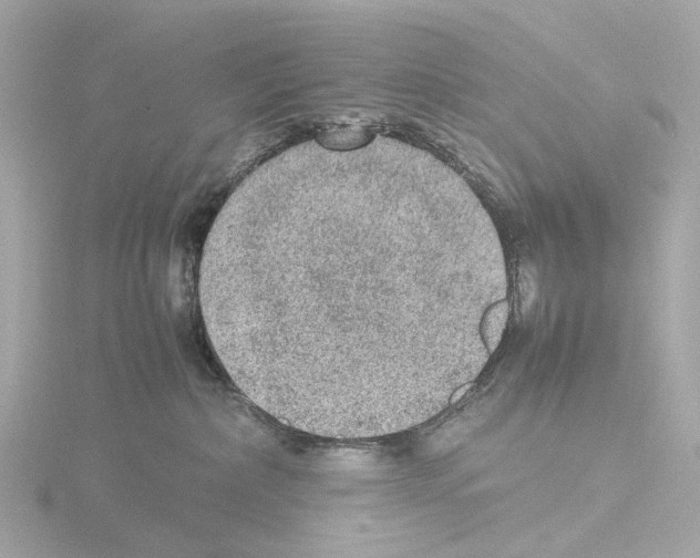 X0000115580236200912221055