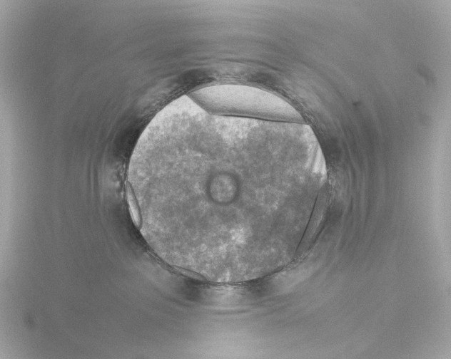 X0000115580237200912221055