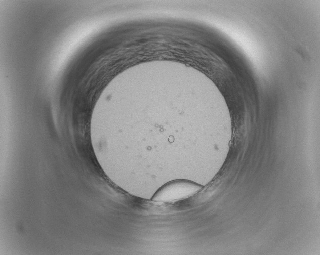 X0000115580239200912221055