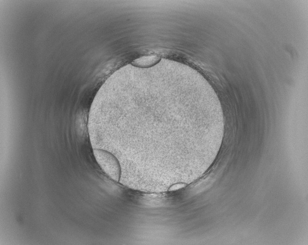 X0000115580240200912221055