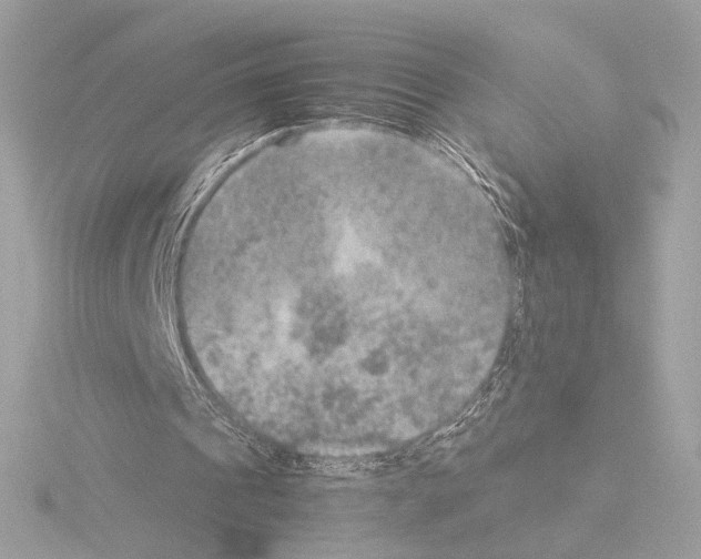 X0000115580241200912221054