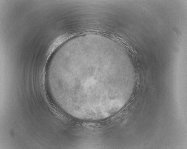 X0000115580242200912221054