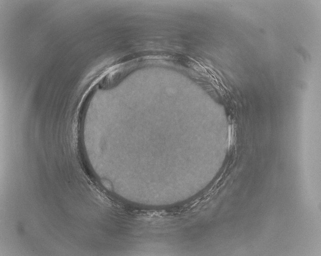 X0000115580243200912221054