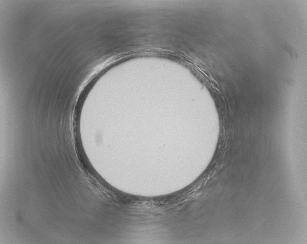 X0000115580244200912221054