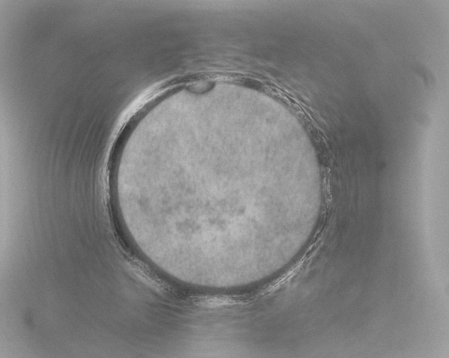 X0000115580246200912221054