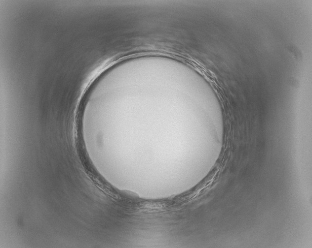 X0000115580248200912221054