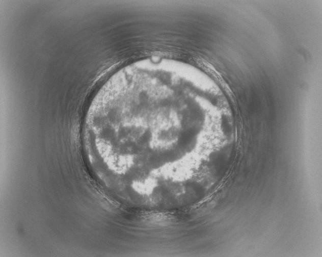 X0000115580249200912221054