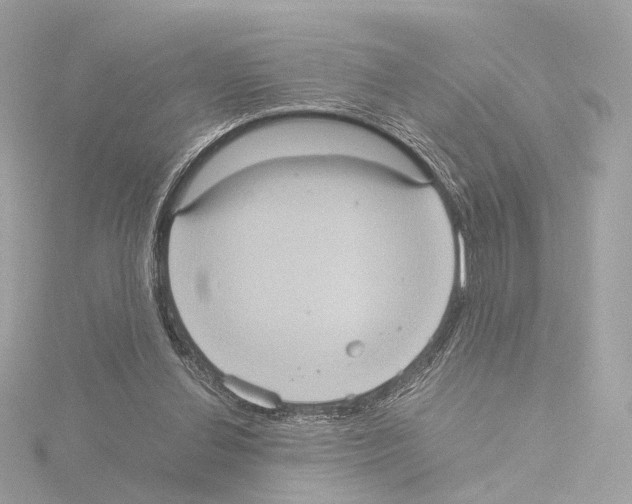 X0000115580252200912221054