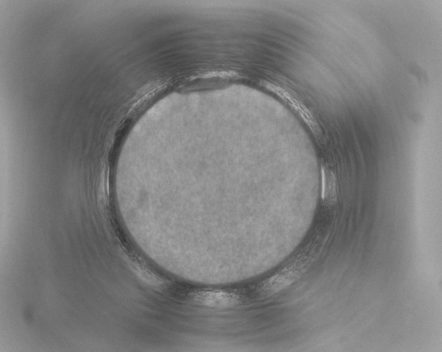 X0000115580253200912221054