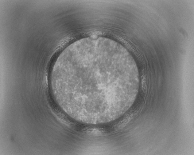 X0000115580254200912221054