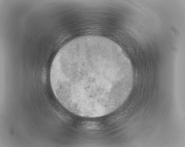 X0000115580255200912221054