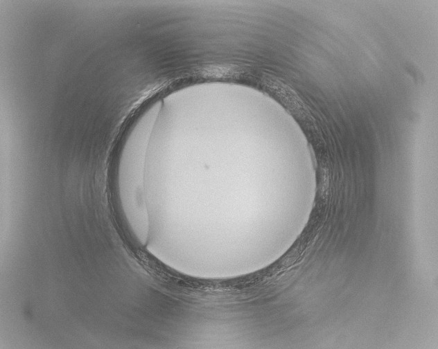 X0000115580256200912221054