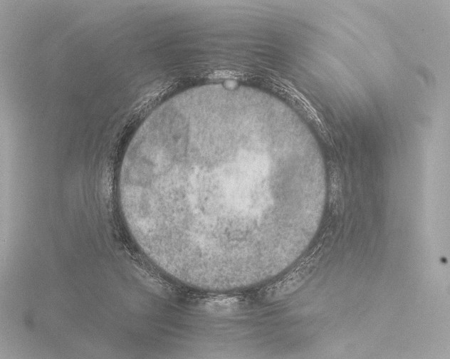 X0000115580257200912221054