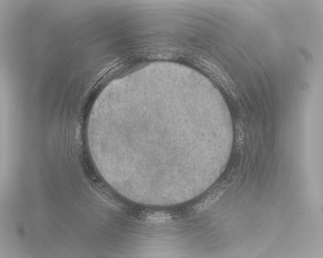 X0000115580258200912221054