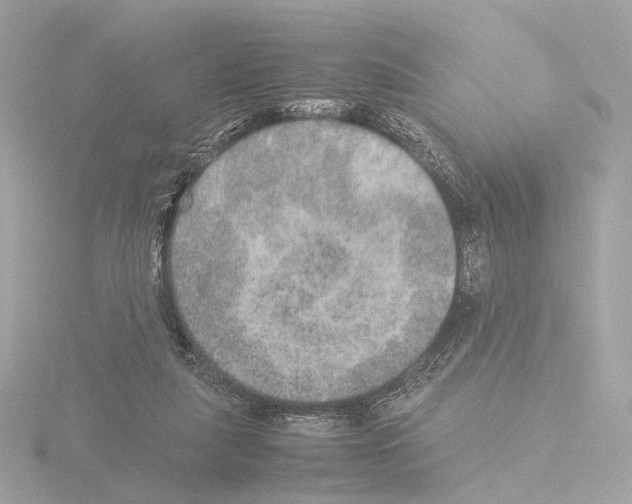 X0000115580259200912221054