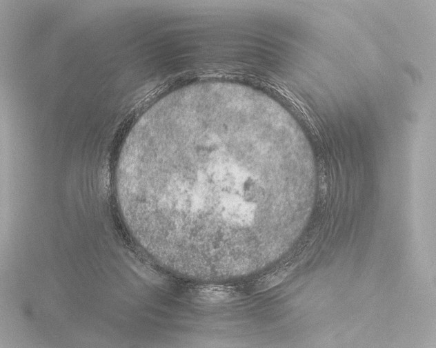 X0000115580261200912221054