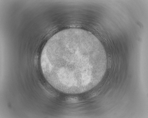 X0000115580263200912221054