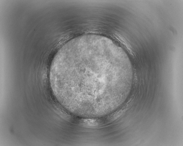 X0000115580265200912221054