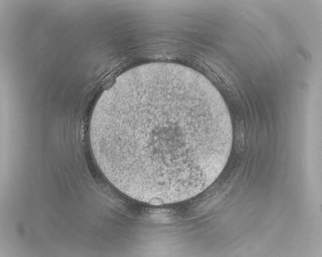 X0000115580268200912221054