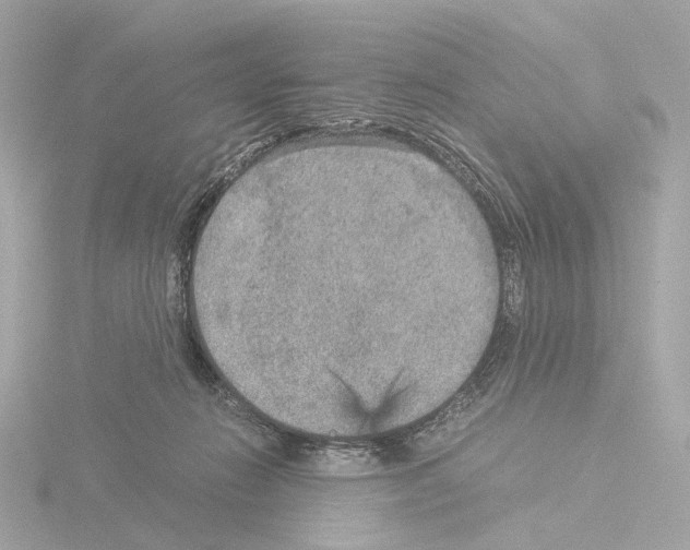 X0000115580270200912221055