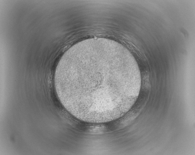 X0000115580274200912221055