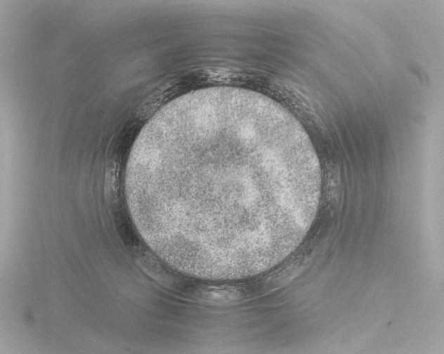 X0000115580275200912221055