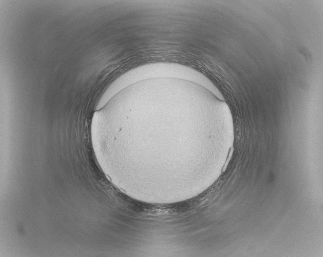 X0000115580276200912221055