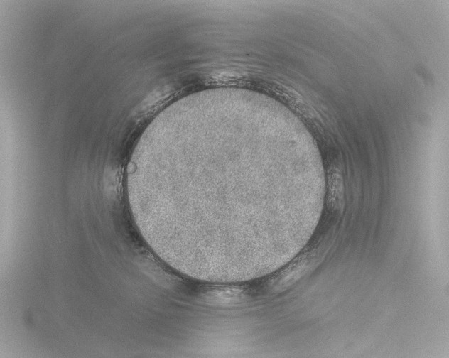 X0000115580278200912221055