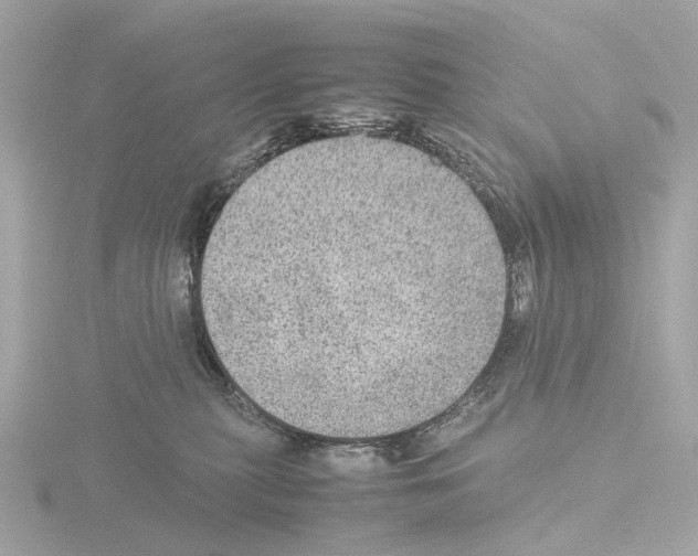 X0000115580279200912221055