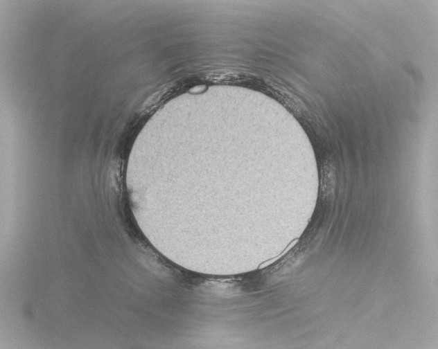 X0000115580280200912221055