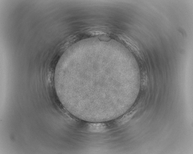 X0000115580281200912221055