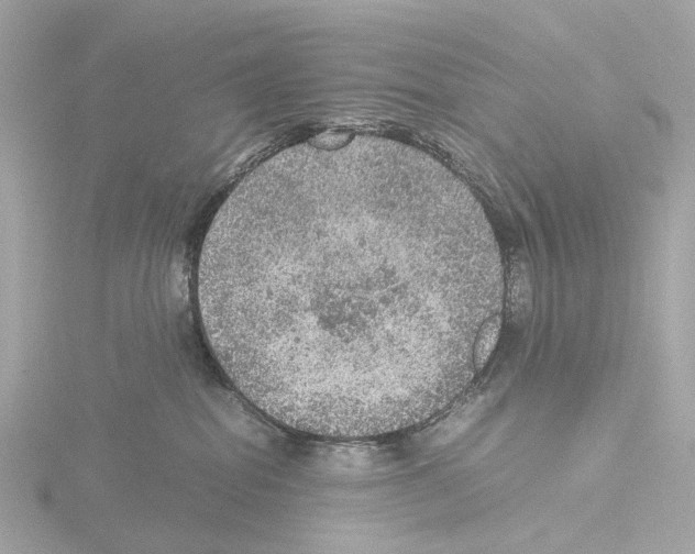 X0000115580282200912221055