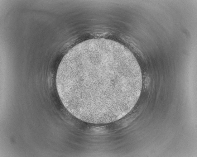 X0000115580283200912221055