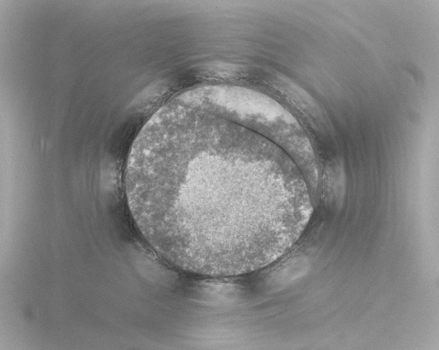 X0000115580284200912221055