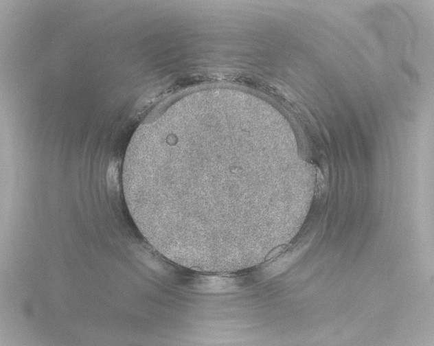 X0000115580286200912221055