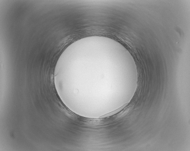 X0000115580288200912221055