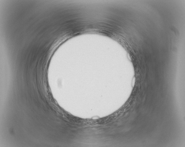 X0000115580289200912221054